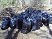 25 октября в Ставрополе пройдёт общегородской субботник