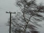 Туман и ветер прогнозируют синоптики на Ставрополье в субботу