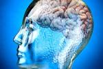 Именно генетика решает, насколько быстро стареет мозг