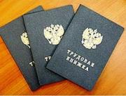 Минтруд края восстанавливает трудовые права ставропольцев