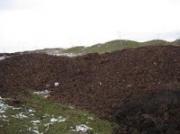 Репортаж о незаконной свалке стал основанием для проведения расследования