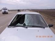 В Георгиевском районе ночью на дороге погиб пешеход