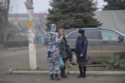 Пешеходам о правилах дорожного движения рассказала живая «зебра»