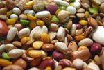 Удивительные свойства бобовых
