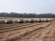 На Ставрополье началась подготовка к уборочной кампании