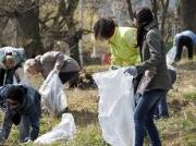 Ставропольцев призвали принять участие в субботниках в рамках акции «Весна Победы»