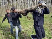 Из Русского леса вывезли шесть грузовиков мусора