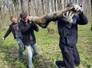 К акции «Cохраним природу Cтаврополья» присоединились более 50 тысяч человек