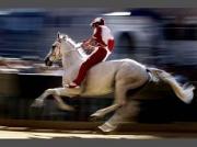 На скачках в Ипатовском районе погиб мужчина