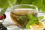 Чай с мелиссой