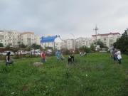 В Ставрополе тысячи горожан  приняли участие в акции по уничтожению амброзии