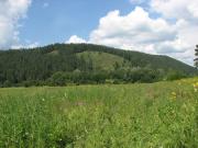 В крае создана уникальная система зонирования заказников