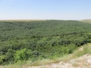 В России разрабатывают стратегию повышения финансовой грамотности населения