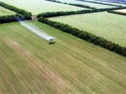 Минсельхоз края: На Ставрополье ведётся борьба с мигрирующей саранчой