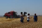 На Ставрополье определили районы-рекордсмены в уборочной кампании