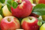 Снова о пользе яблок