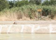 Трагедия завершила купальный сезон в Ставропольском крае