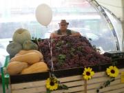 Ставропольская сельскохозяйственная ярмарка открылась в Москве