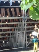 Ставропольчане возмутились условиями, в которых пел детский «тысячный» хор