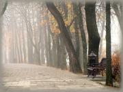 В середине недели на Ставрополье ожидается резкое похолодание