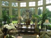 Большие растения для дома