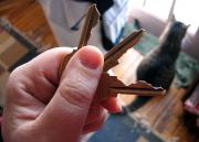 Ставропольских сирот устроят на работу в «Ставрополькрайводоканал» и обеспечат служебным жильём