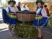 Праздник молодого вина отметят на Ставрополье