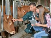 В Ставропольском крае готовятся к проведению сельскохозяйственной переписи