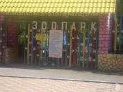 В ставропольский зоопарк приехал полуторатонный житель