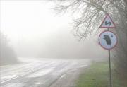 На Ставрополье возможно увеличение числа ДТП из-за тумана