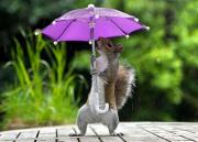 Дождливая и ветреная погода задержится на Ставрополье