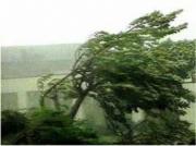 В Пятигорске устраняют последствия ураганного ветра