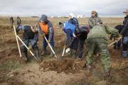 Краевые парламентарии высадили тысячу саженцев на берегу Чограйского водохранилища