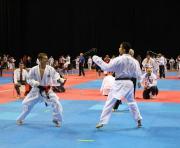 Ставропольские каратисты привезли золото и серебро из Москвы