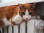 Теплоснабжение в Северо-Западном районе Ставрополя восстановят к вечеру