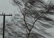 Краевое ГУ МЧС предупреждает о порывистом ветре до 28 метров в секунду