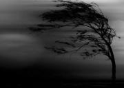 МЧС: Ветер на Ставрополье усилится до 30 метров в секунду