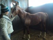 Начинающие фермеры Ставрополья получили поддержку в 350 миллионов рублей