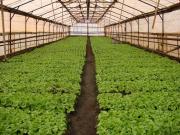 На Ставрополье обсудили эффективные системы земледелия