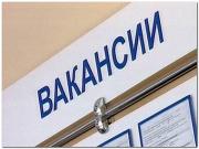 Ситуация на рынке труда в края остается стабильной