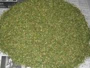 16-летний ставрополец получил условный срок за хранение конопли