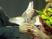 Лучшие педагоги Ставрополья поучаствуют в краевом этапе конкурса «Учитель года России»