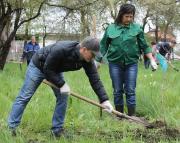 В Ставропольской краевой психиатрической больнице появилась дубово-буковая аллея