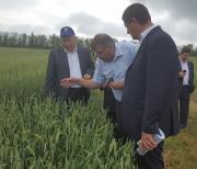 На Ставрополье прошёл «День поля»