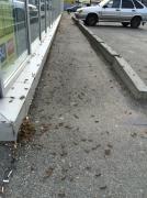 Ставрополь и большинство районов края атаковала саранча