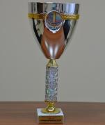 В Ставрополе прошли финальные состязания Спартакиады городов края