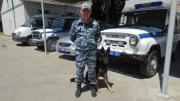 На Ставрополье служебная собака обнаружила марихуану