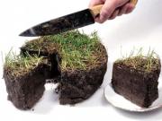 Минимущества края пресекает незаконное использование госземель Ставрополья