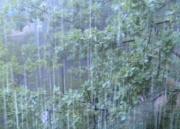 На Ставрополье в результате сильного дождя снова подтопило частные домовладения