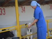 Владимир Ситников изучил экономику Новоалександровского района